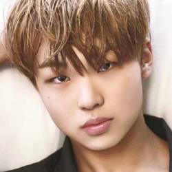 NEW KIDD Profile: J FLO Entertainment's Male Idol Quartet