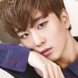 NEW KIDD Profile: J FLO Entertainment's Male Idol Quartet